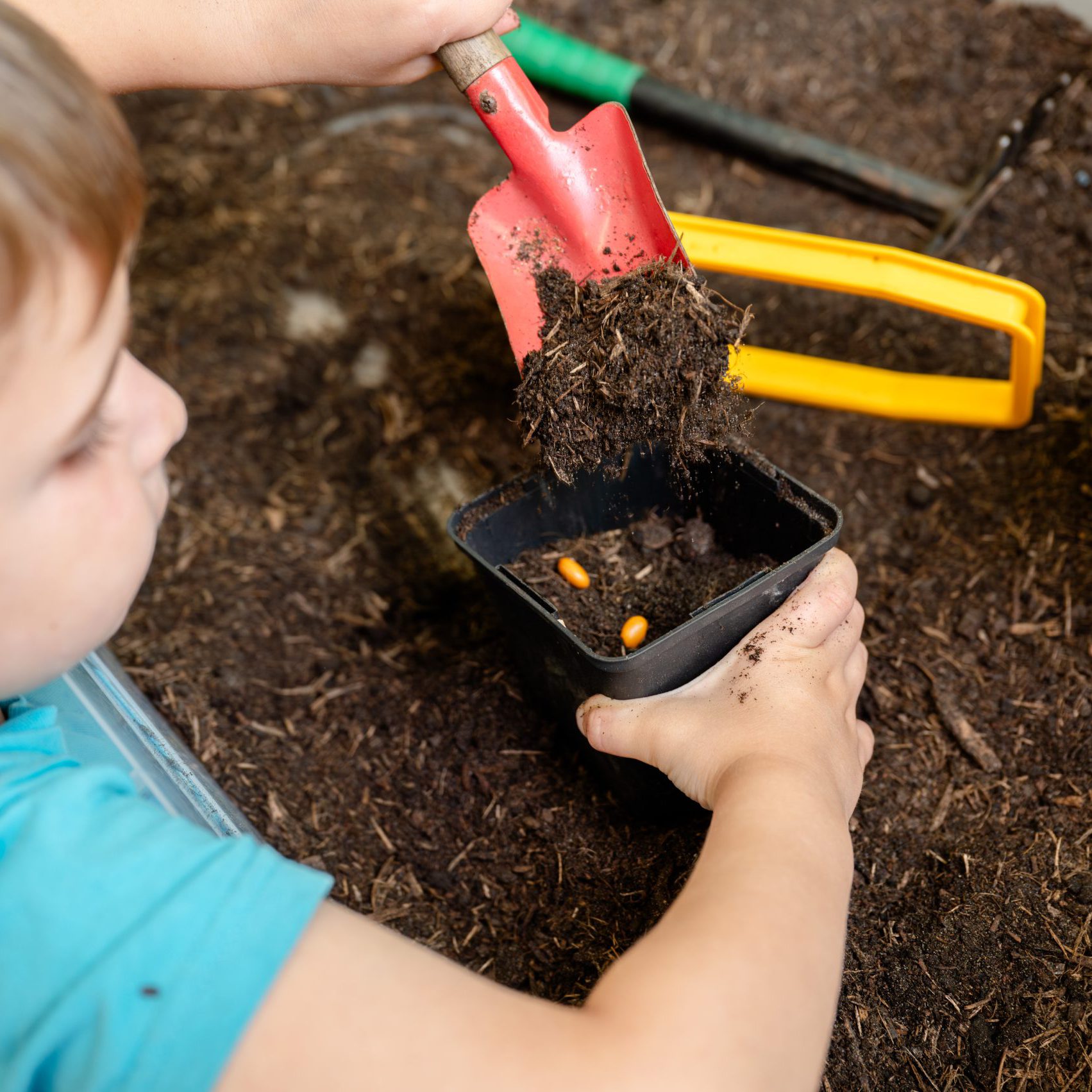 jestaaterop_250616143837_Z61_5445 jestaaterop_250616143837_Z61_5445