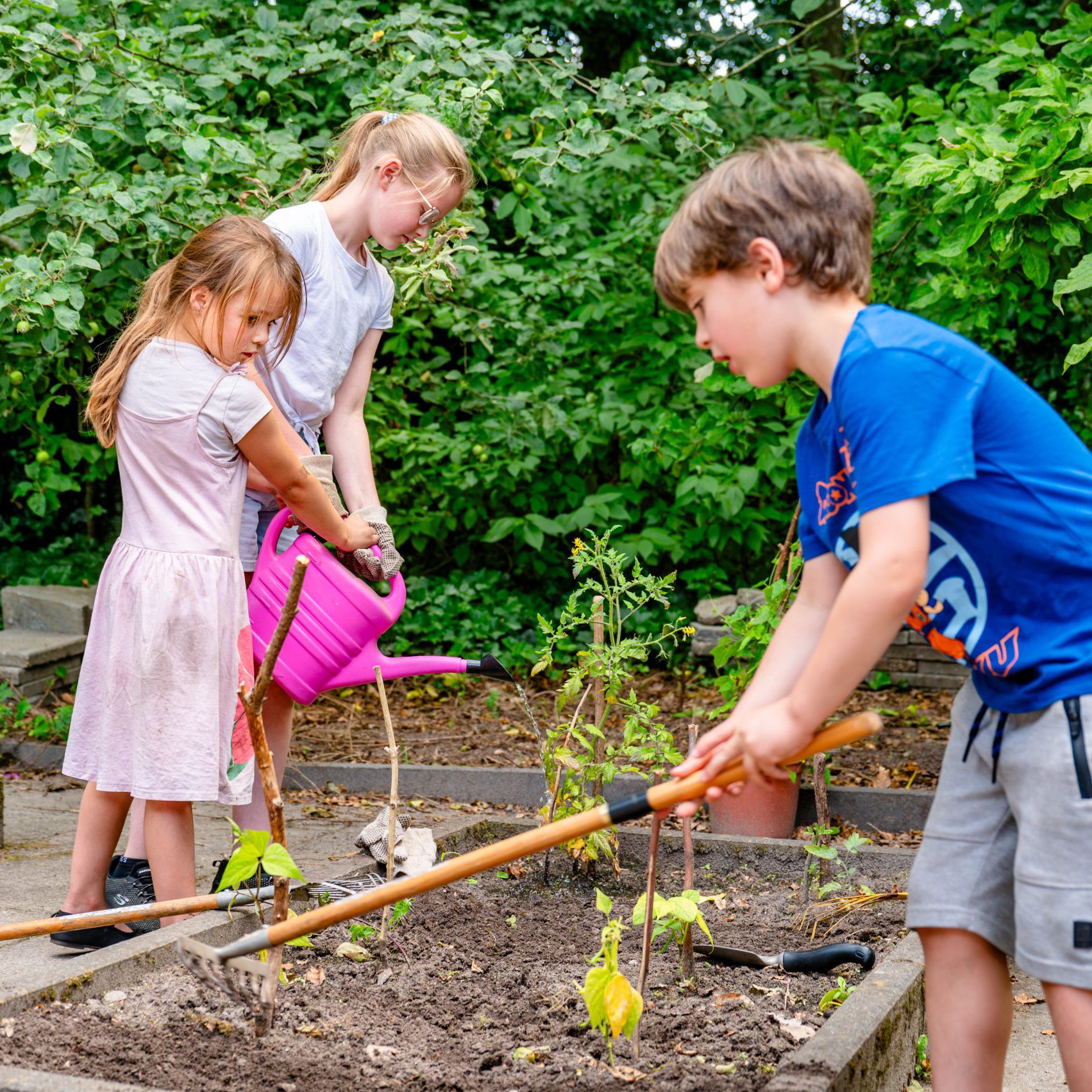 jestaaterop_250616145616_Z61_5542 jestaaterop_250616145616_Z61_5542